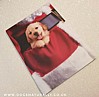 Santa's Pocket Puppy Christmas Card